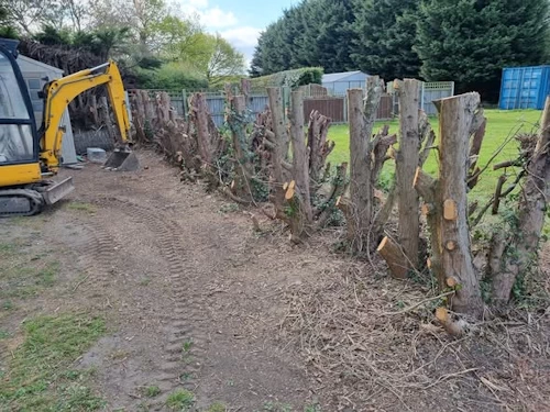Garden Clearance